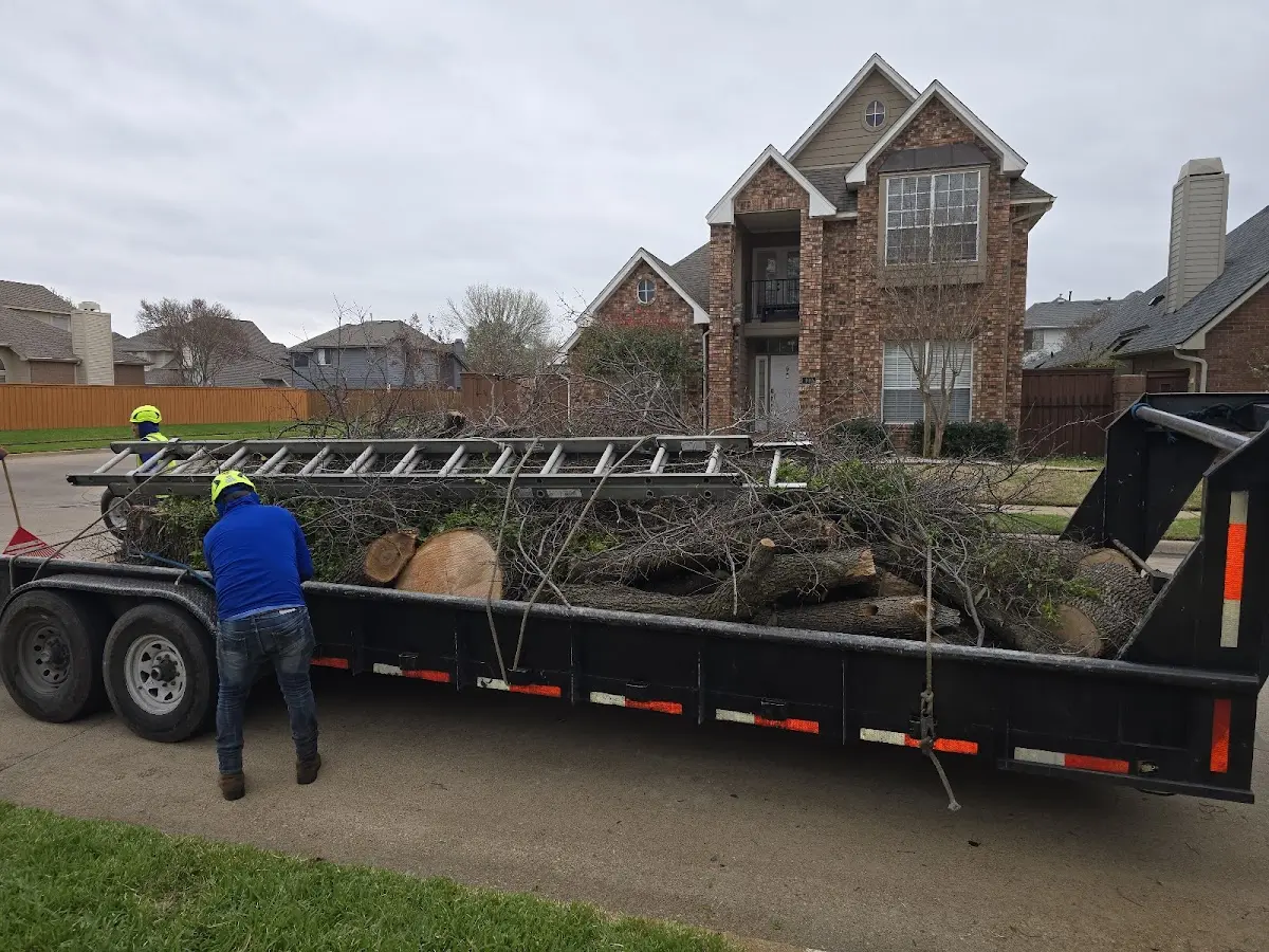 Expert Tree Removal with proper safety equipment in Fort Leavenworth